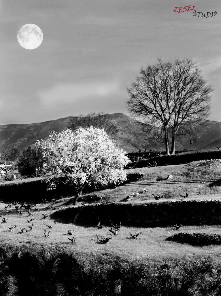 VIAJE AL VALLE DEL JERTE CÁCERES ESPAÑA Zesel Studio